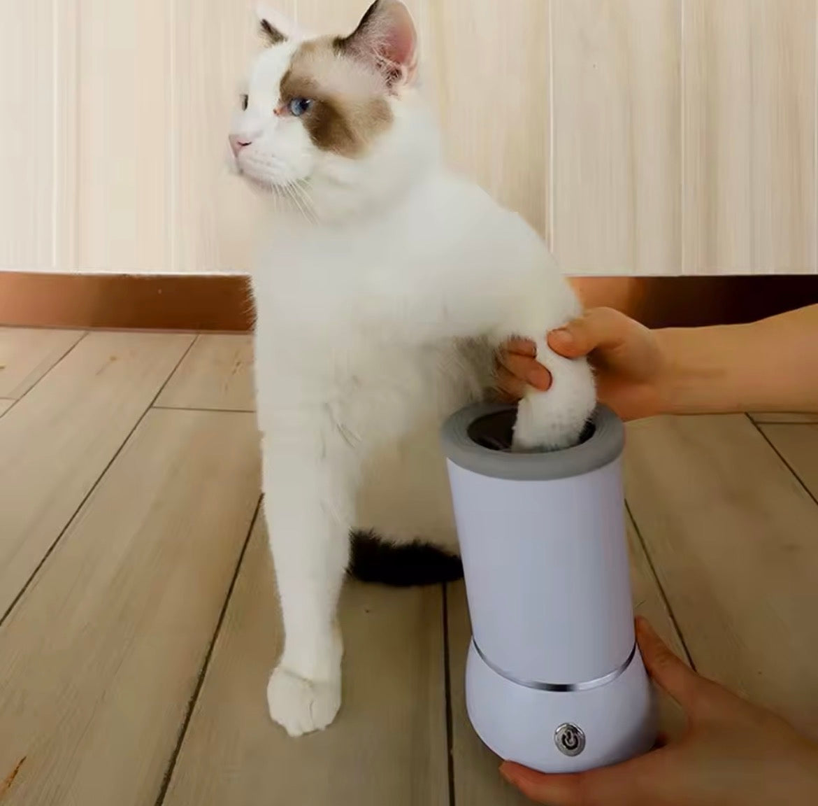 Portable dog paw washer